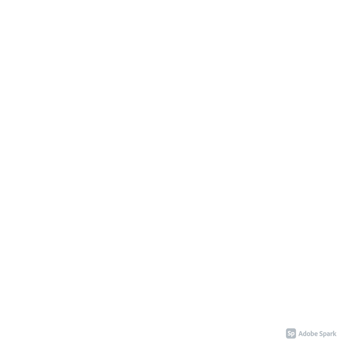 BinaryTexx Logo