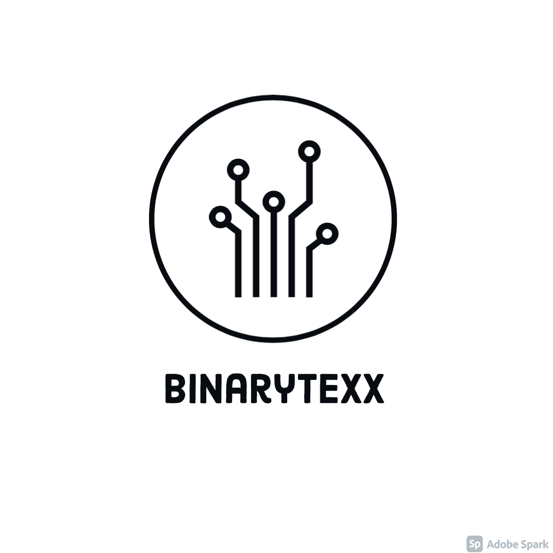 BinaryTexx Dark Logo